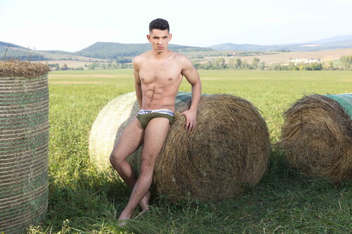 country62.jpeg