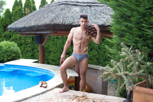 tropical113.jpeg