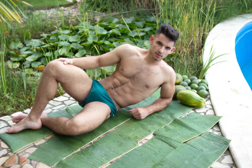 tropical58.jpeg