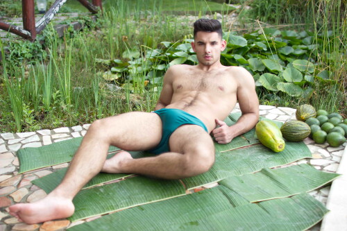 tropical69.jpeg