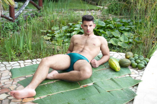 tropical70.jpeg