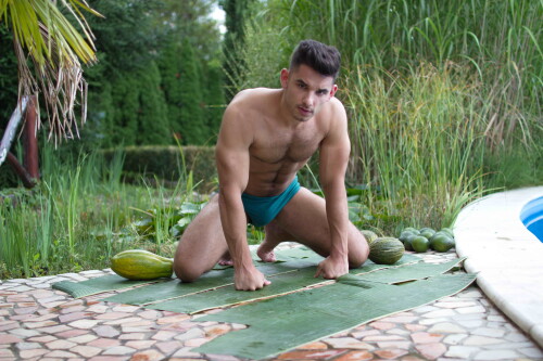 tropical97.jpeg