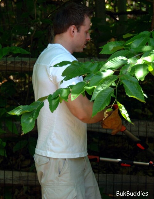VOL2308_06_05_08_016c588139c6efd4e1c.jpg