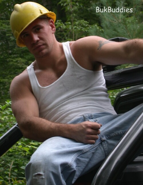 antics0408b614356cae64d8.jpg