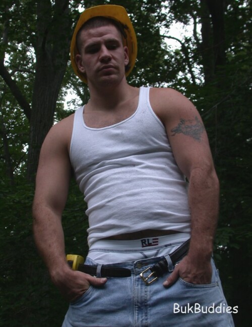 antics215a034faf1d719a11.jpg