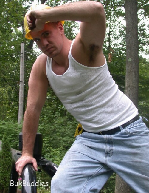 antics25290fae029d3df380.jpg