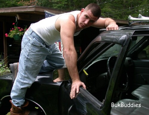 antics28226349a0d4707bc0.jpg
