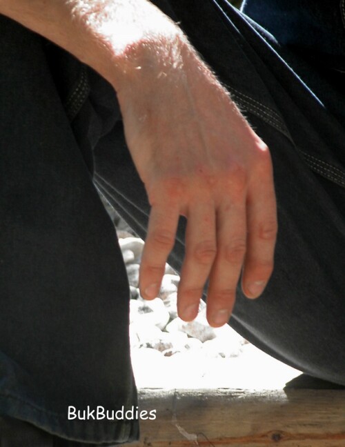 bove10ebb907895f7a40b0.jpg
