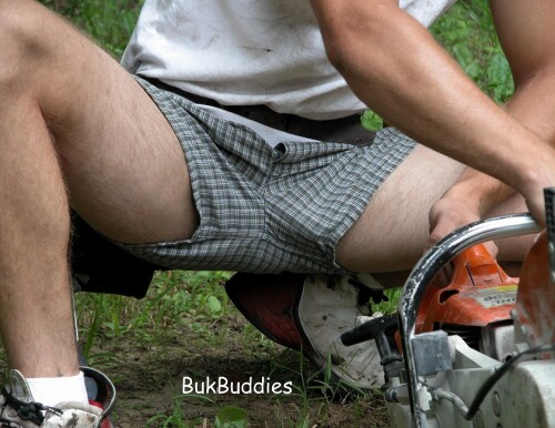 buzz1782f01d439f904aea.jpg