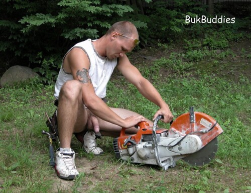 buzz23b2e3c408c8cea343.jpg