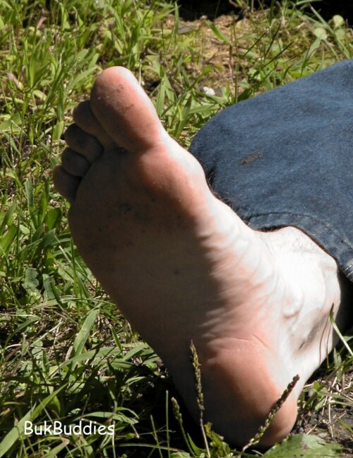 darm15f99c548563003490.jpg