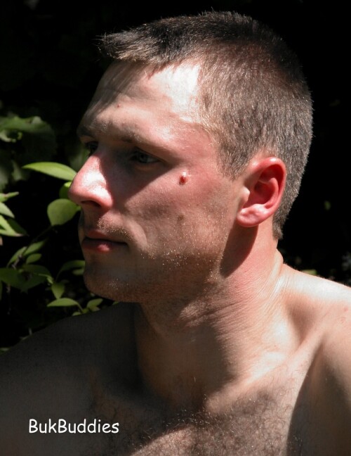 darm2319059df642482460.jpg