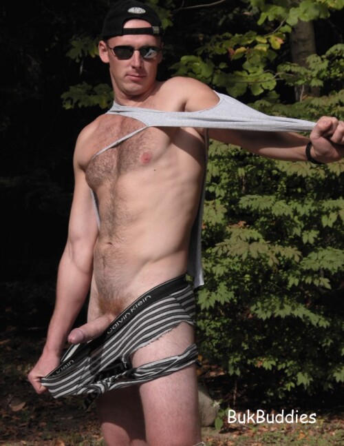 shred2206881cd0fec5673a.jpg