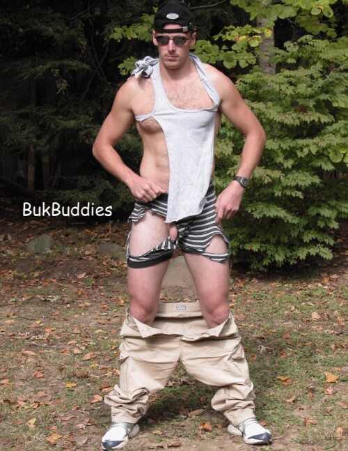 shred36bd651c04ff988237.jpg