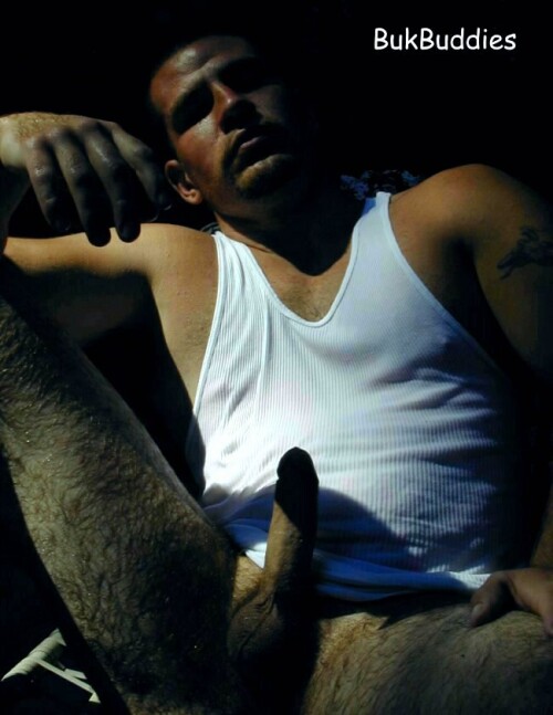 tony21504a94bce00240f9f0.jpg