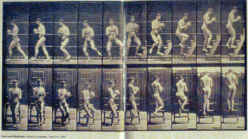 Eadweard_Muybridge-Animal_Locomotion-Plate-151-1887b559617582bd9c12.jpg