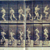 Eadweard_Muybridge-Animal_Locomotion-Plate-151-1887b559617582bd9c12
