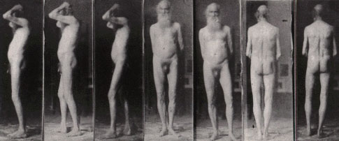 Eakins_Thomas_1844-1916_-_188_-_old_man_said_to_be_Walt_Whitman1dcb95a497ef28a7.jpg