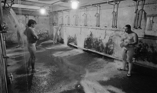 _v_bathing_00_0081e1d6036d40ff0d6.jpg