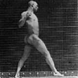eadweard-muybridge---photographer-121dd8d0ffe836db7