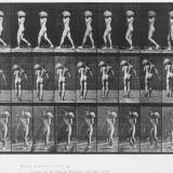 eadweard-muybridge---photographer-6f6f3f8864a14a6fe