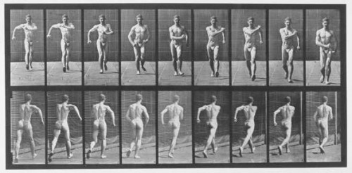 eadweard-muybridge---photographer-79233b725fef9de0f.jpg