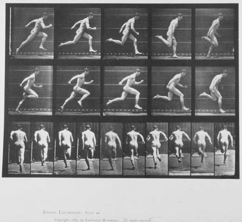 eadweard-muybridge---photographer-89485c05f5af0eff2.jpg