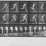eadweard-muybridge---photographer-89485c05f5af0eff2