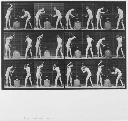 eadweard-muybridge---photographer-939c5f534960bdc40.jpg