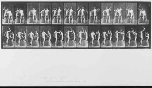 eadweard-muybridge---photographer-9ad9cf6b8435939960.jpg