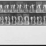 eadweard-muybridge---photographer-9ad9cf6b8435939960