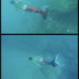007885f558d376813cb
