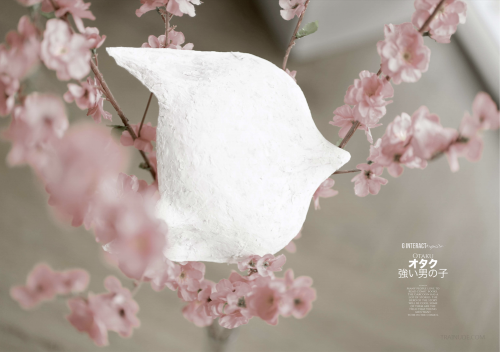 056a55cf1594980d88a.png