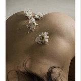 04114903aff3de758b3