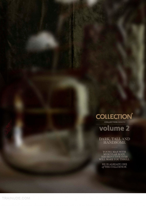 Collection-2-Toto130.jpg