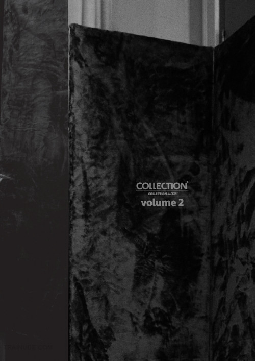 Collection-2-Toto154.jpg