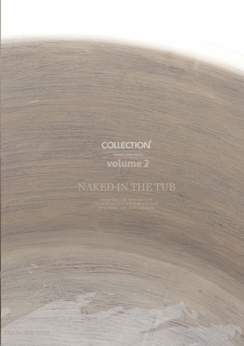 Collection-2-Toto76.jpg