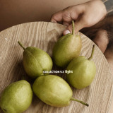 Collection-LIGHT-3-Mr-WiN-125
