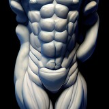 male-torso-02-6K