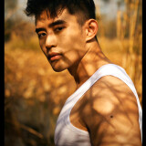 03477ab4b4fb77fe4a9