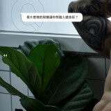 0441ad58ecfcdd6272f