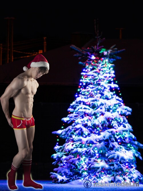 MMN-Elvis-Christmas-165.jpeg