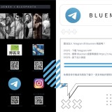BLUEMEN-NO.236-A-4