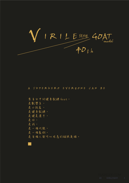 Virile-40-14.png