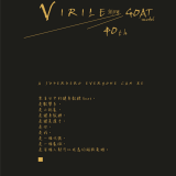 Virile-40-14