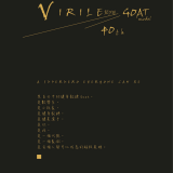 Virile-40-6