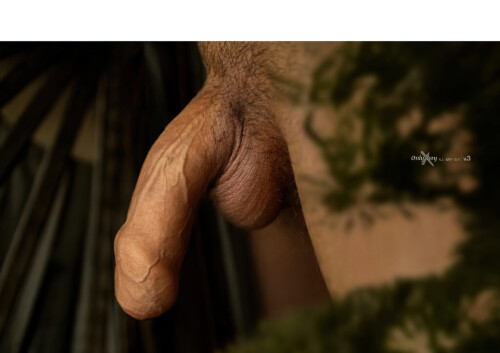 0430d1483eb06403510.jpeg