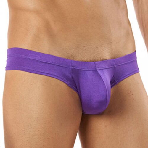 cm122purp2.jpeg