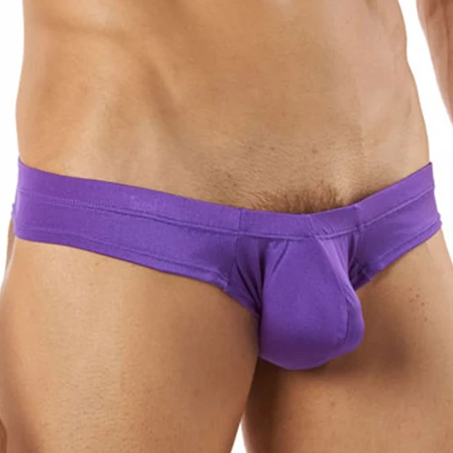 cm222purp1.webp