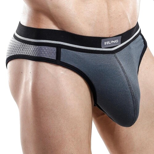 hung-hgi004-bkini-brief-grey-M.jpeg